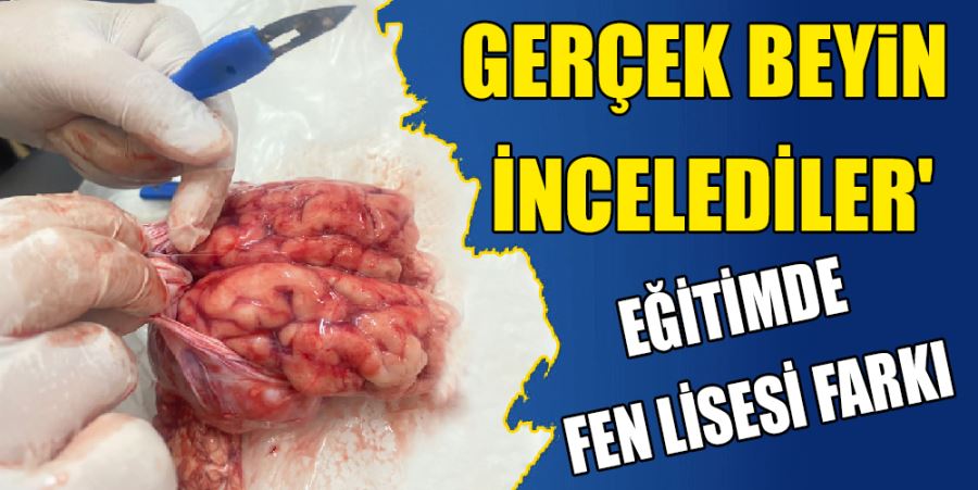 EĞİTİMDE FEN LİSESİ FARKI 