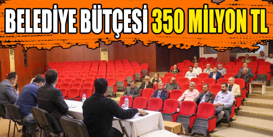 BELEDİYE BÜTÇESİ 350 MİLYON TL