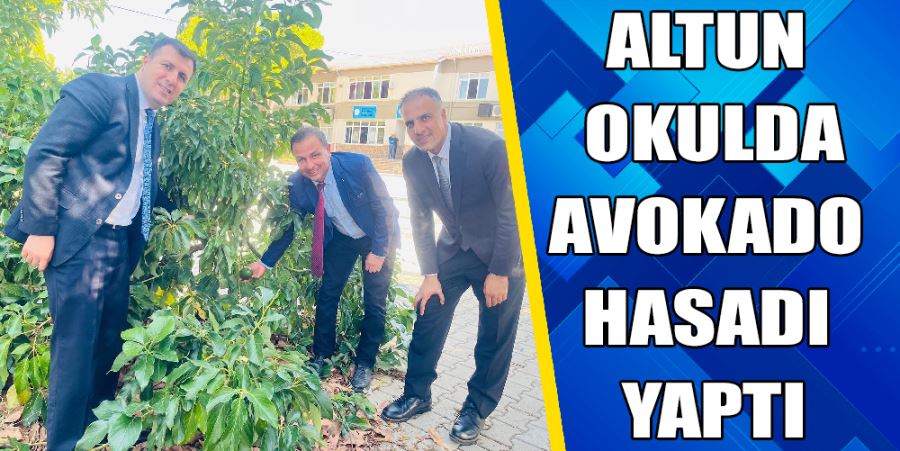 KAYMAKAM ALTUN OKUL BAHÇESİNDE AVOKADO HASADINA KATILDI