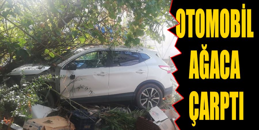 OTOMOBİL AĞACA ÇARPTI