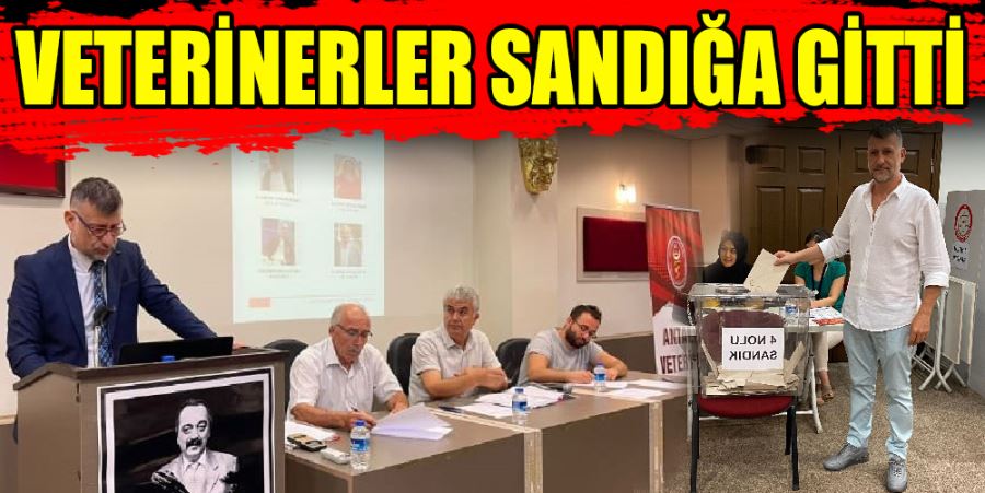 VETERİNERLER SANDIĞA GİTTİ