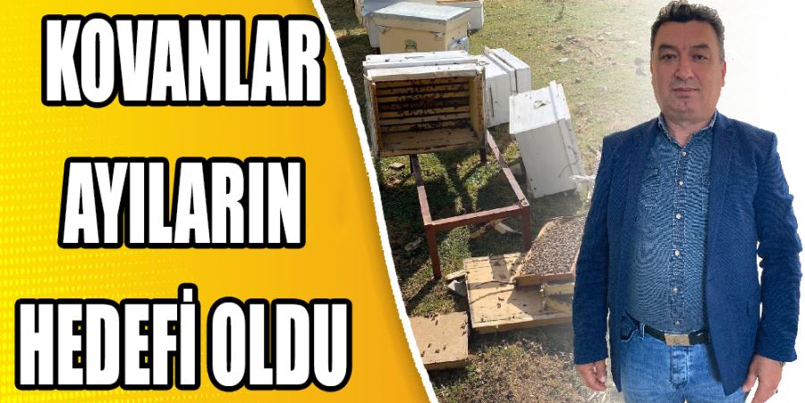 KOVANLAR AYILARIN HEDEFİ OLDU