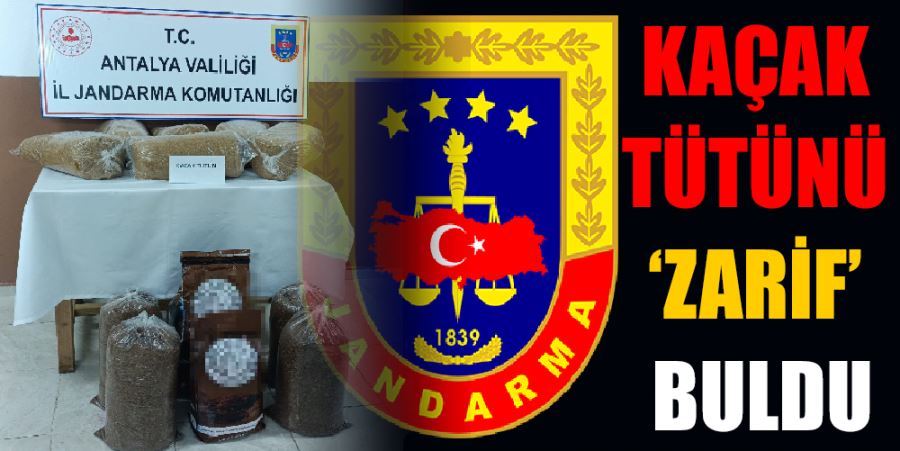 KAÇAK TÜTÜNÜ ‘ZARİF’ BULDU