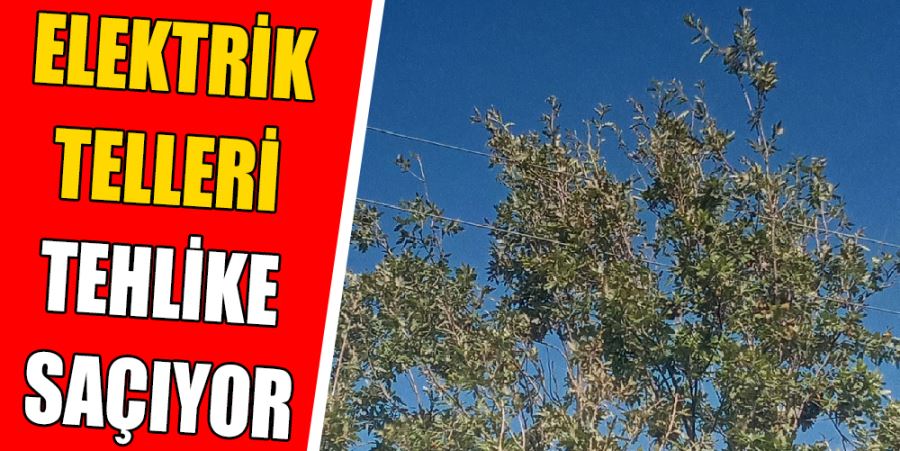 ELEKTRİK TELLERİ TEHLİKE SAÇIYOR