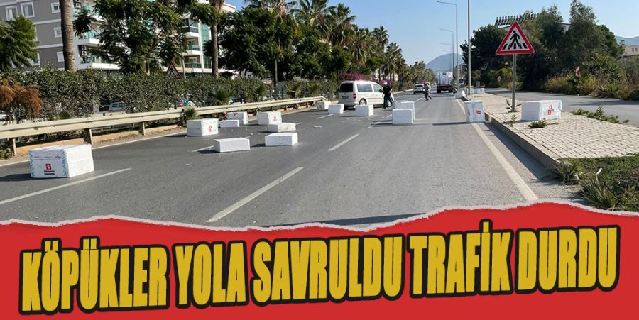 KÖPÜKLER YOLA SAVRULDU TRAFİK DURDU