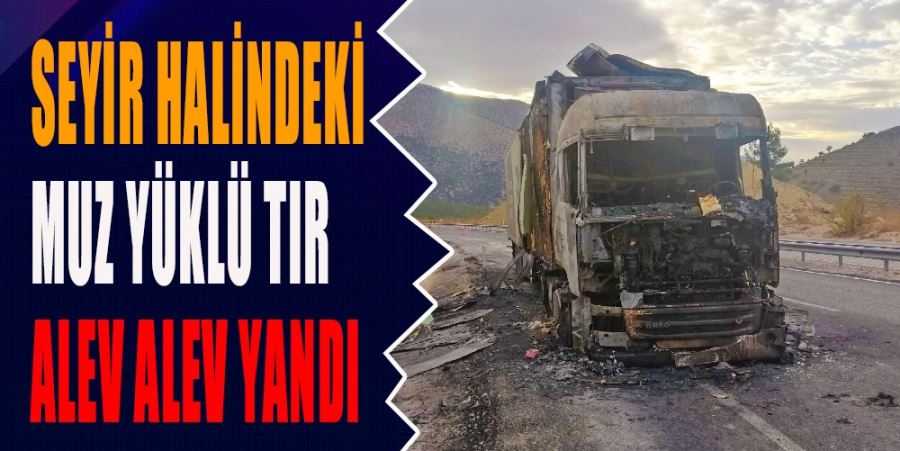 MUZ YÜKLÜ TIR ALEV ALEV YANDI