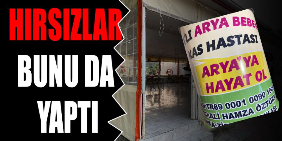 HIRSIZLAR BUNU DA YAPTI