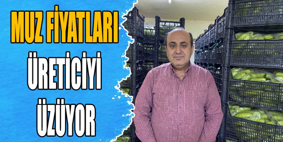 MUZ FİYATLARI ÜRETİCİYİ ÜZÜYOR