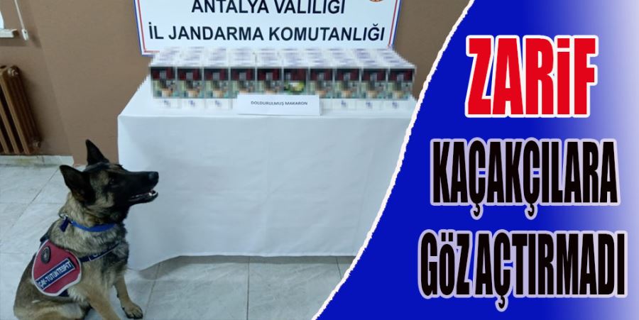 ‘ZARİF’ KAÇAKÇILARA GÖZ AÇTIRMADI