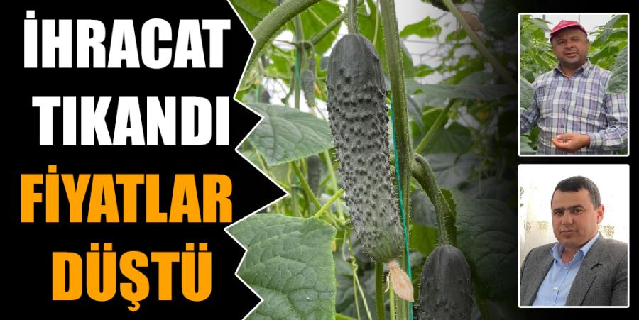 İHRACAT TIKANDI FİYATLAR DÜŞTÜ