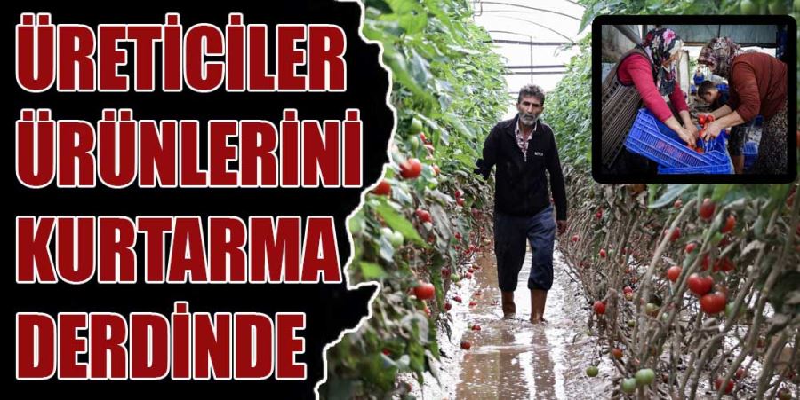 ÜRETİCİLER ÜRÜNLERİNİ KURTARMA DERDİNDE