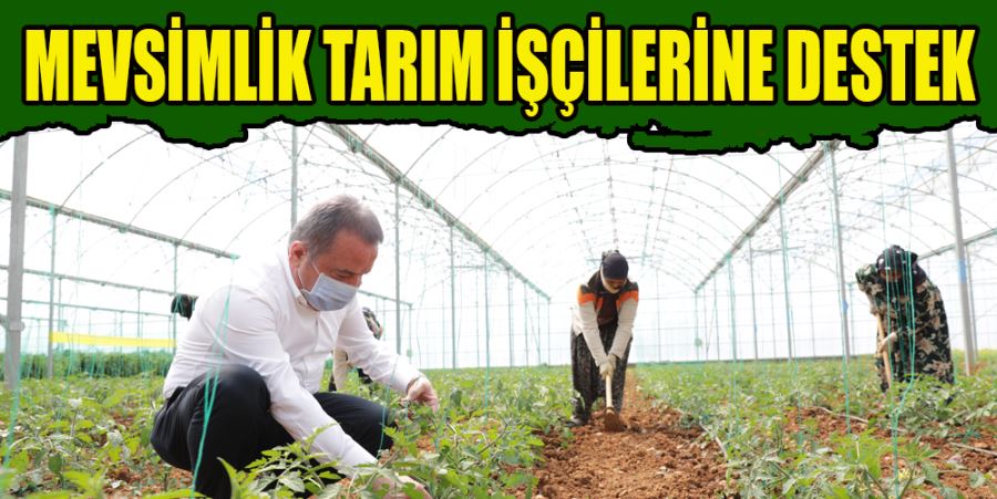 MEVSİMLİK TARIM İŞÇİLERİNE DESTEK