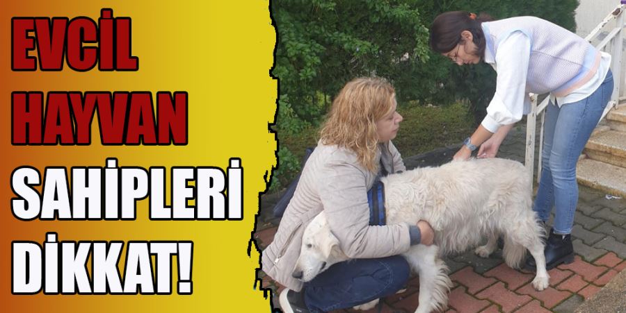 EVCİL HAYVAN SAHİPLERİ DİKKAT!