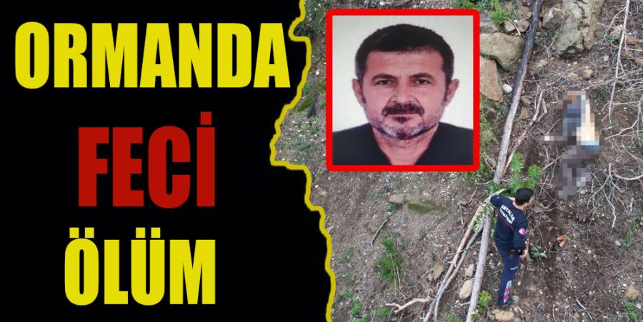 ORMANDA FECİ ÖLÜM