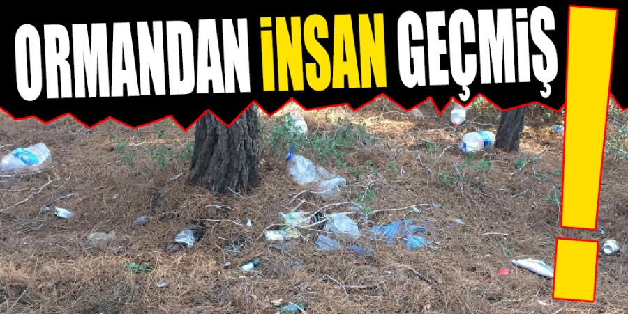 ORMANDAN İNSAN GEÇMİŞ!