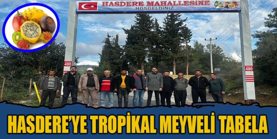 HASDERE’YE TROPİKAL MEYVELİ TABELA