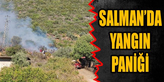 SALMAN’DA YANGIN PANİĞİ