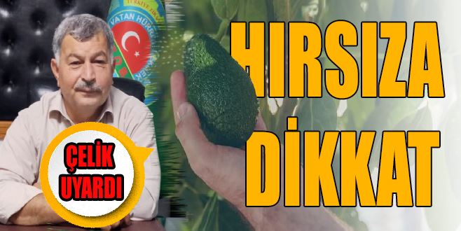 HIRSIZLARA DİKKAT!