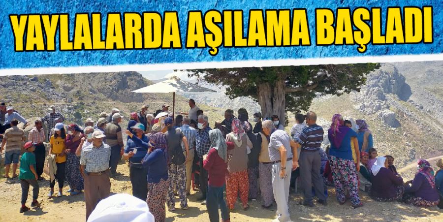 YAYLALARDA AŞILAMA BAŞLADI