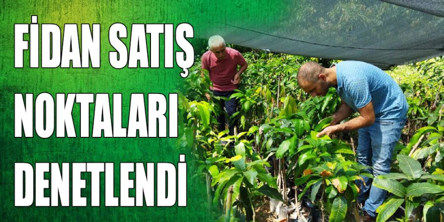 FİDAN SATIŞ NOKTALARI DENETLENDİ