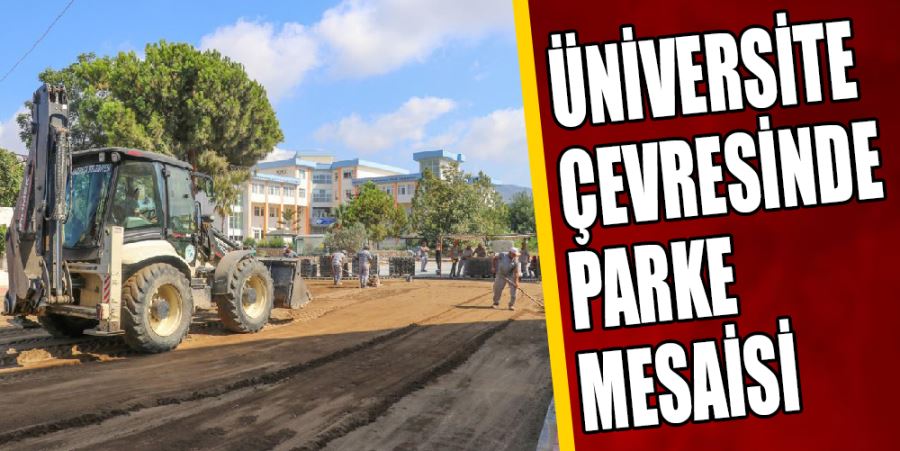 ÜNİVERSİTE ÇEVRESİNDE PARKE MESAİSİ