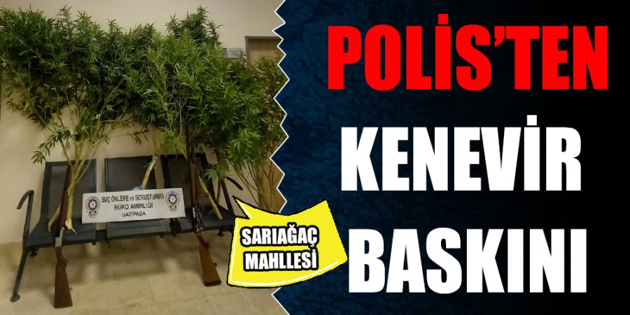 GAZİPAŞA’DA POLİSTEN KENEVİR OPERASYONU