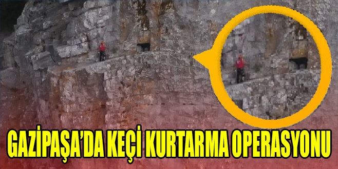 GAZİPAŞA’DA KEÇİ KURTARMA OPERASYONU