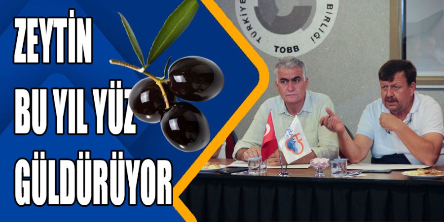 ZEYTİN BU YIL YÜZ GÜLDÜRÜYOR