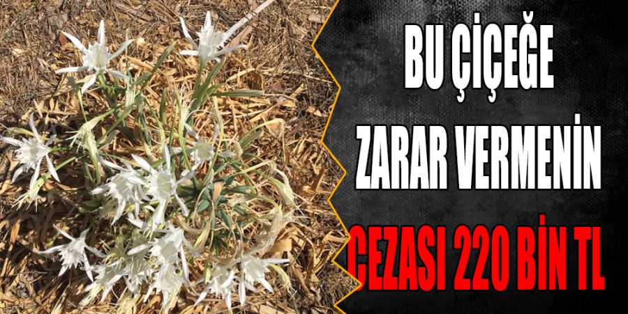 KUM ZAMBAĞI KOPARMANIN BİNLERCE LİRALIK CEZASI VAR