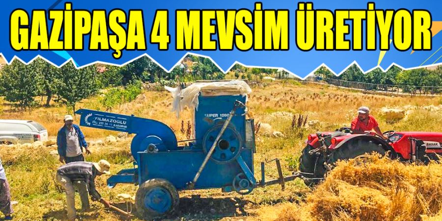 GAZİPAŞA 4 MEVSİM ÜRETİYOR