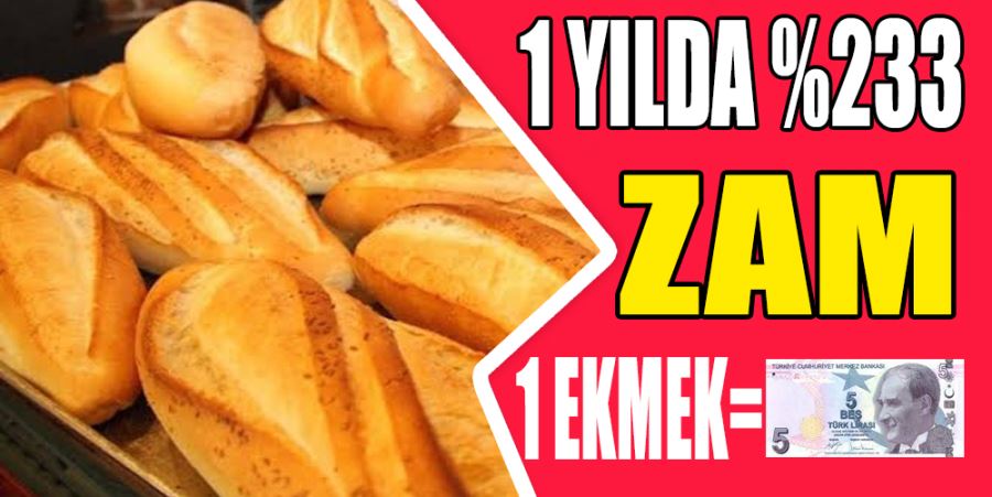 1 YILDA YÜZDE 233 ZAM