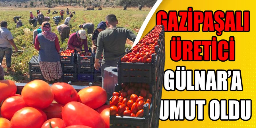 GAZİPAŞALI ÜRETİCİ GÜLNAR’A UMUT OLDU