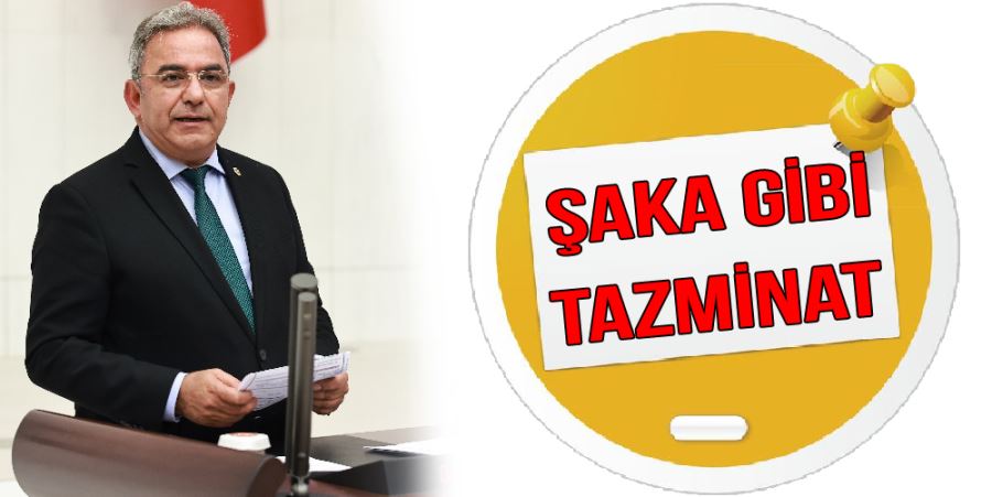 Şaka Gibi Tazminat