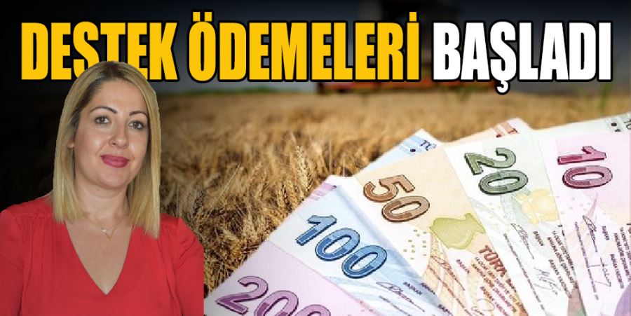 ÖDEMELER HESAPLARA AKTARILIYOR