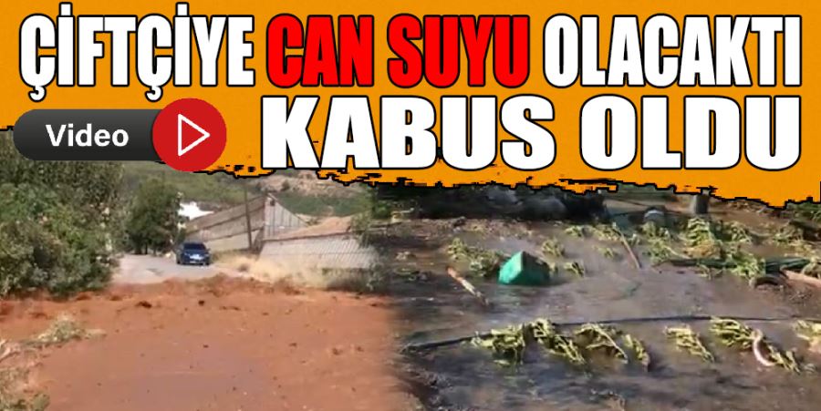 Bu İşin Tadı Kaçtı: Çiftçiye Can Suyu Olacaktı Kabus Oldu