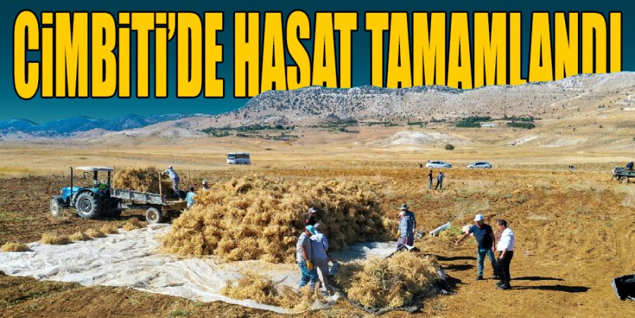 CİMBİTİ’DE HASAT TAMAMLANDI