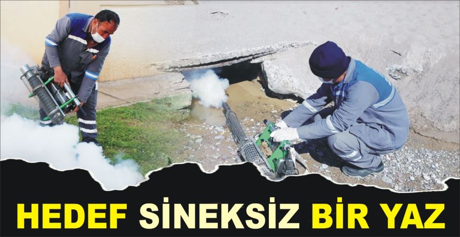 HEDEF SİNEKSİZ BİR YAZ