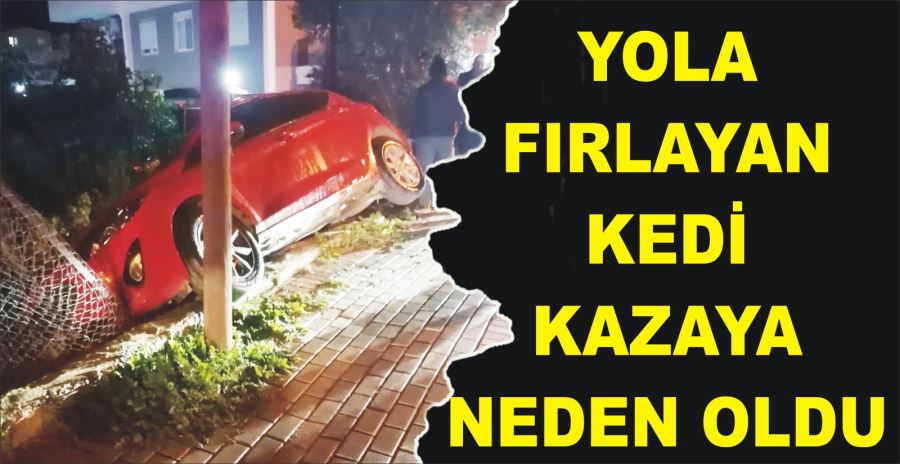 YOLA FIRLAYAN KEDİ KAZAYA NEDEN OLDU