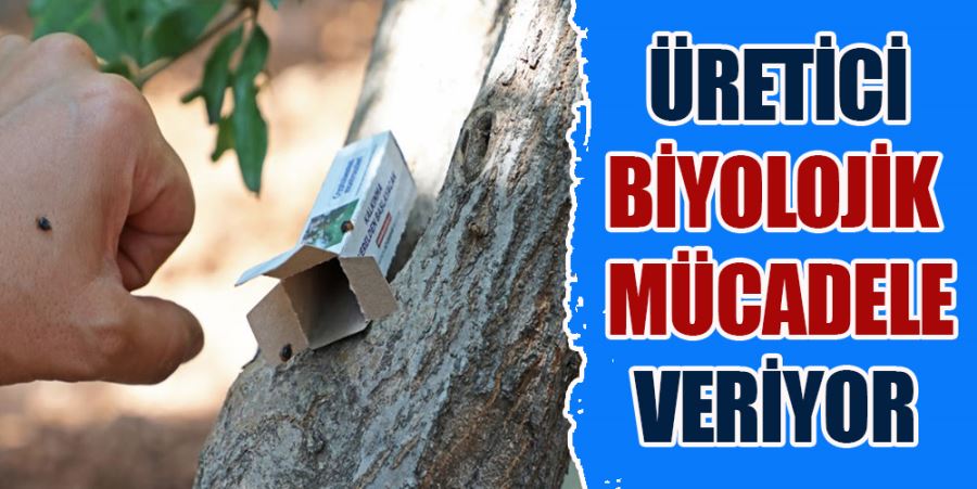 ÜRETİCİ BİYOLOJİK MÜCADELE VERİYOR 