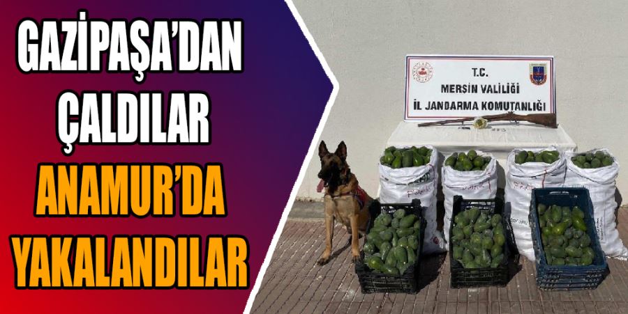 GAZİPAŞA’DAN ÇALDILAR ANAMUR’DA YAKALANDILAR 