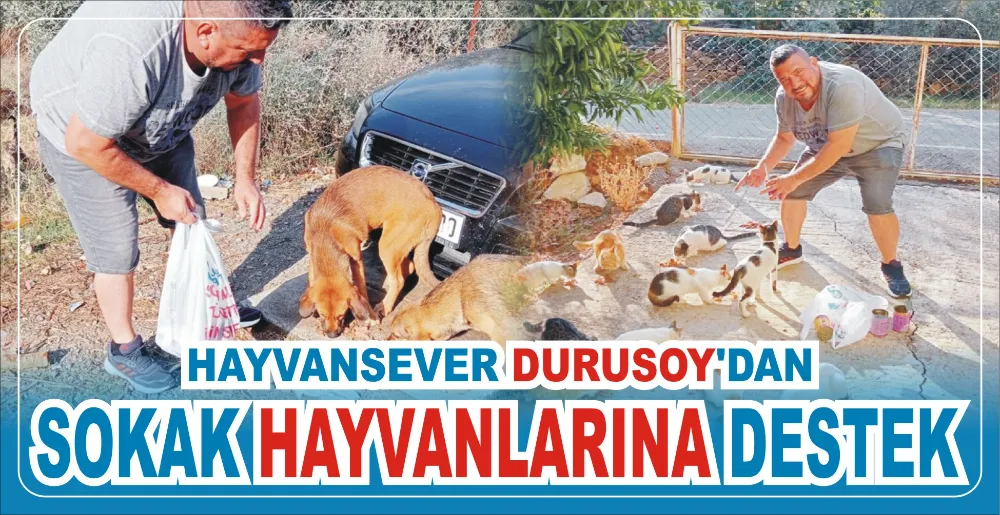 HAYVANSEVER DURUSOY’DAN  SOKAK HAYVANLARINA DESTEK