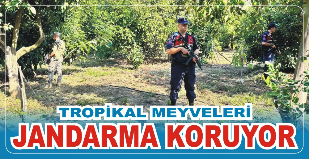 TROPİKAL MEYVELERİ JANDARMA KORUYOR