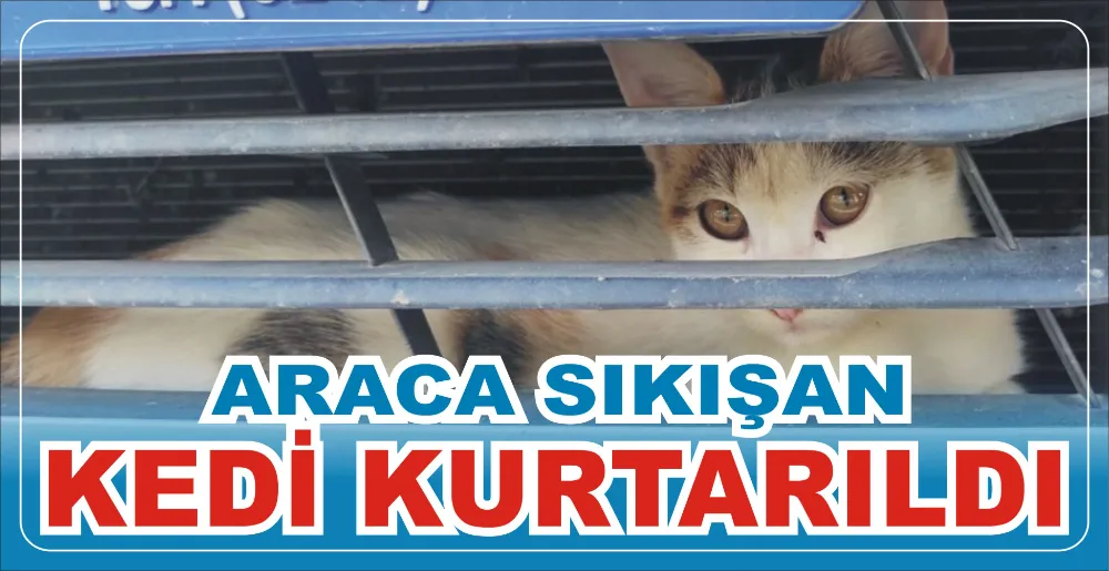 ARACA SIKIŞAN KEDİ KURTARILDI