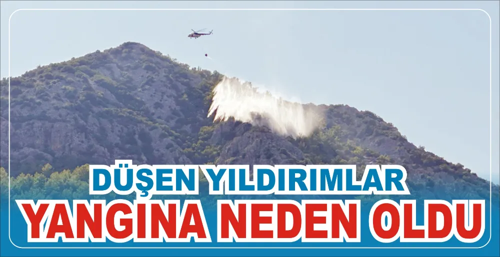 DÜŞEN YILDIRIMLAR YANGINA NEDEN OLDU