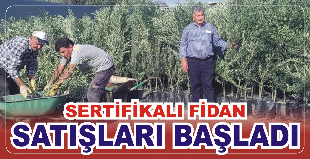 SERTİFİKALI FİDAN SATIŞLARI BAŞLADI 