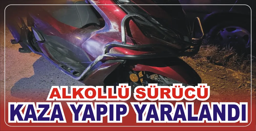 ALKOLLÜ SÜRÜCÜ, KAZA YAPIP YARALANDI