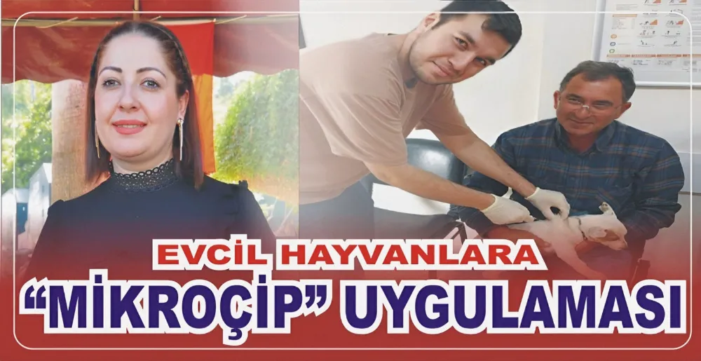 EVCİL HAYVANLARA 