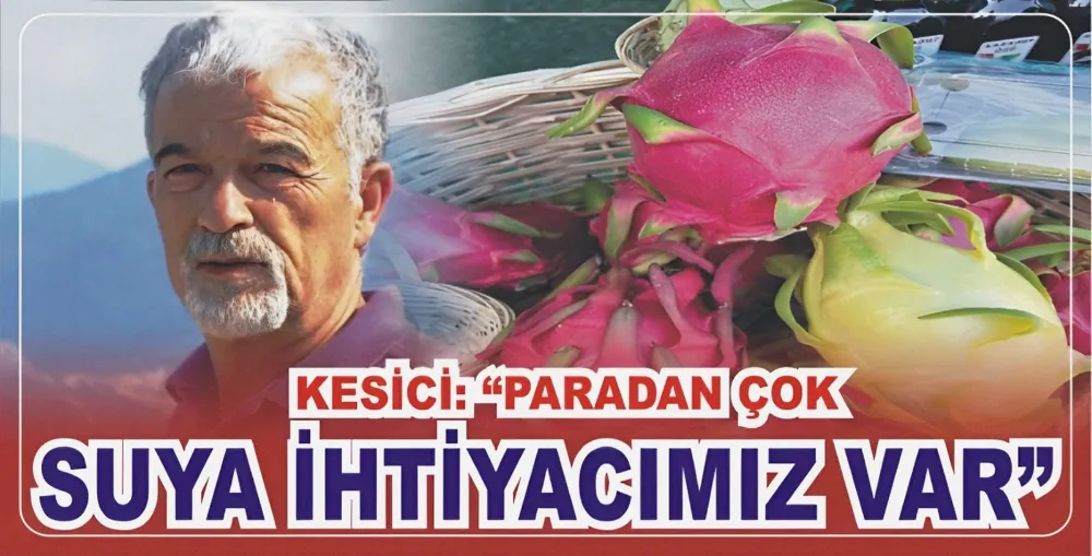 KESİCİ: 