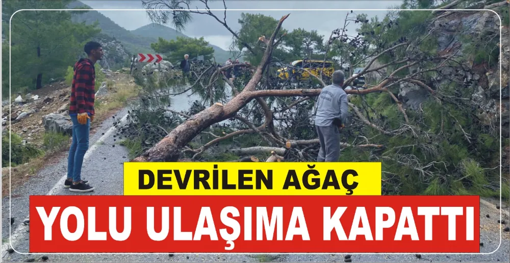 DEVRİLEN AĞAÇ YOLU ULAŞIMA KAPATTI