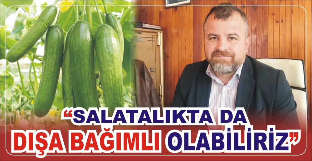 “SALATALIKTA DA DIŞA BAĞIMLI OLABİLİRİZ”